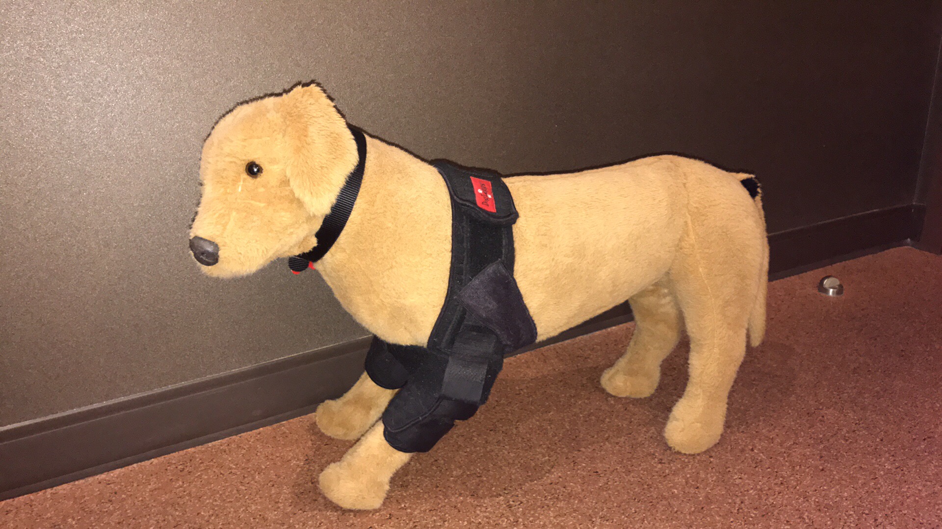 64929E92-3FA4-4B24-9E46-7DBD2294AE75